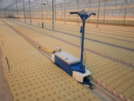 Afbeeldingen van WCR Elektro Scooter