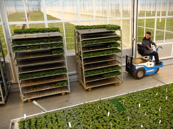 Afbeeldingen van Donkey TE-23