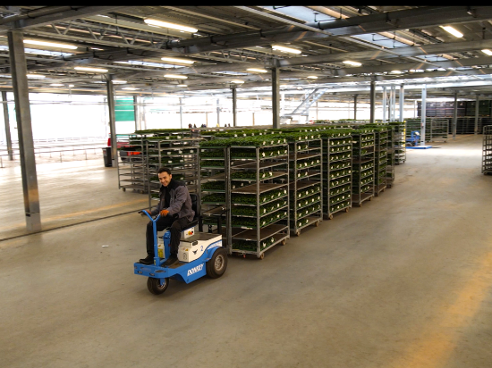 Afbeeldingen van Donkey TE-23