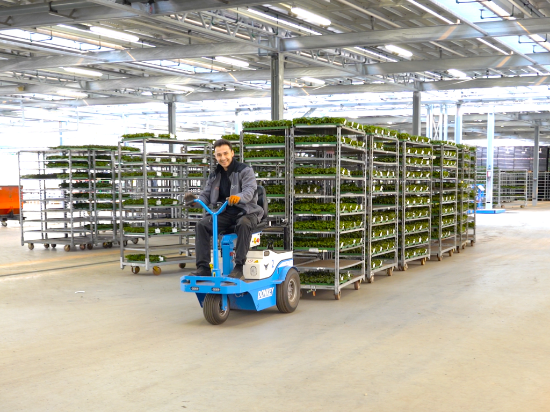 Afbeeldingen van Donkey TE-23