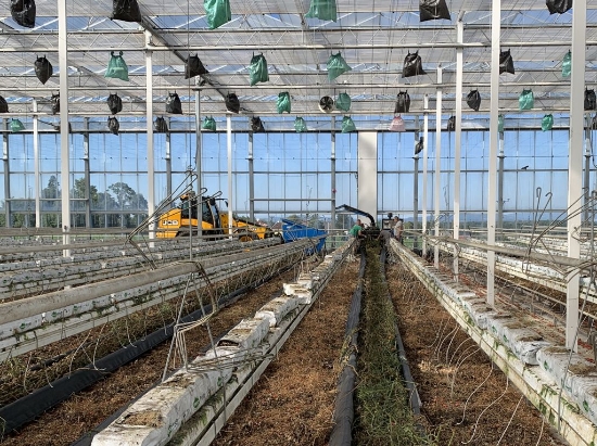 Afbeeldingen van Bio Chopper Compact TI530 Gewasversnipperaar