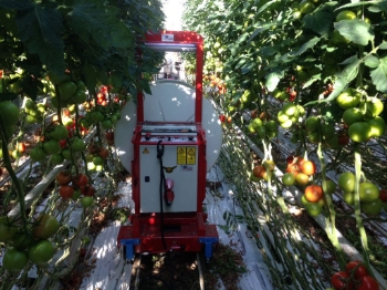 Picture of ACE Roller XL