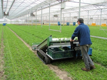 Afbeeldingen van LC1400-1630 Oogstmachine