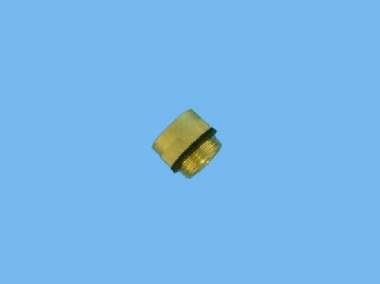 Picture of Nippel 3/4"bi x3/4"GHT bu Dramm broeskop