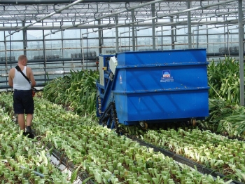 Picture of Caterpillar Shredder with Container (amaryllis)