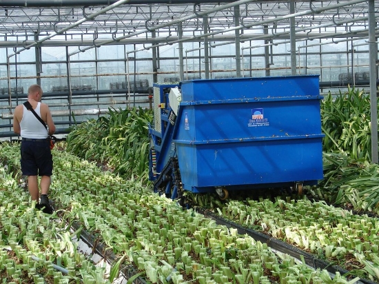 Picture of Caterpillar Shredder with Container (amaryllis)