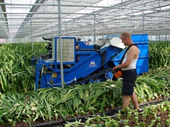 Picture of Caterpillar Shredder with Container (amaryllis)