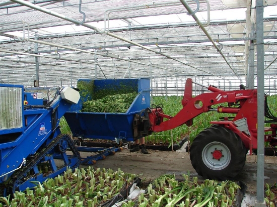 Picture of Caterpillar Shredder with Container (amaryllis)