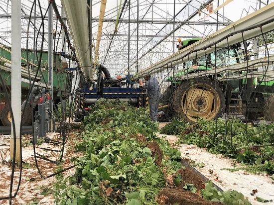 Afbeeldingen van Bio Chopper PTO Gewasversnipperaar