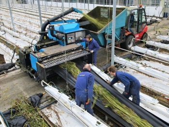 Afbeeldingen van Super Chopper Compact HI550-620 Gewasversnipperaar