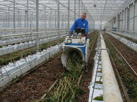 Afbeeldingen van Super Twister Tomatenplant Bindmachine