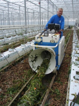 Afbeeldingen van Super Twister Tomatenplant Bindmachine