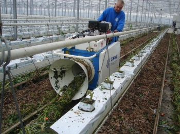 Afbeeldingen van Super Twister Tomatenplant Bindmachine