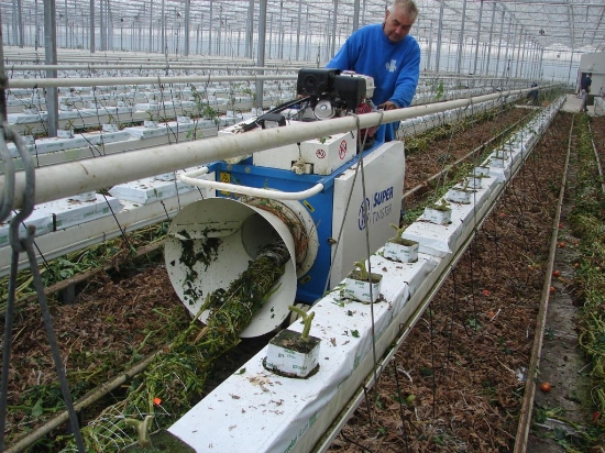 Afbeeldingen van Super Twister Tomatenplant Bindmachine
