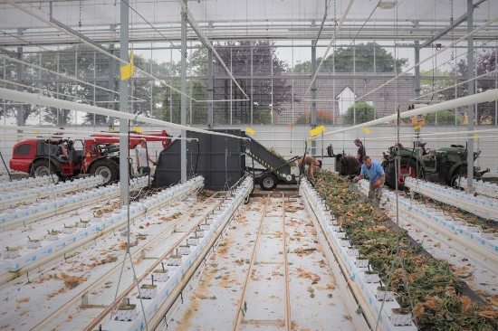 Afbeeldingen van Bio Hopper XL PTO