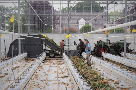 Afbeeldingen van Bio Hopper XL PTO