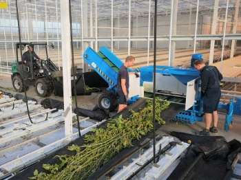 Picture of Bio Hopper E-16A (Electric)